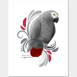 African Grey Parrot Posters and Art